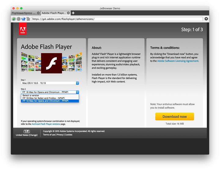 Adobe flash player version 8